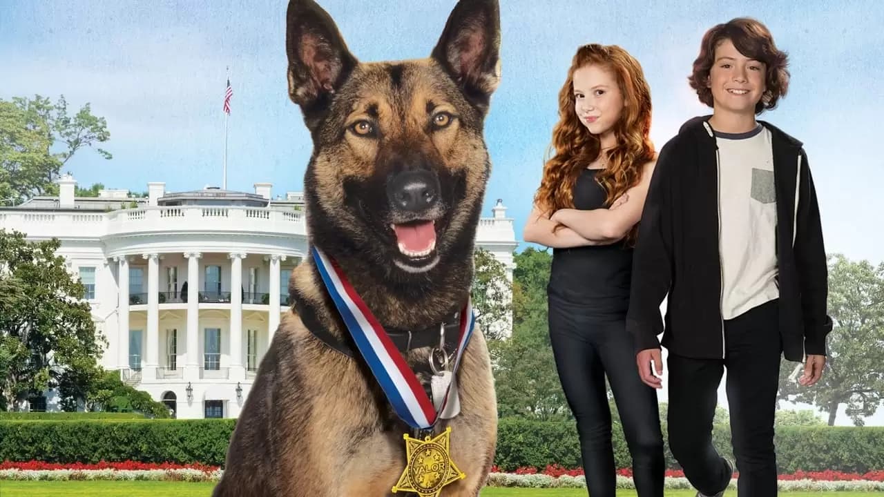 Max 2: White House Hero Backdrop