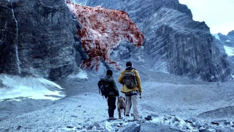 Blood Glacier Poster