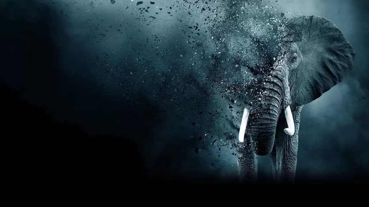 The Ivory Game Backdrop