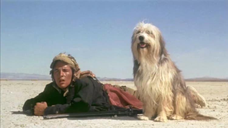 A Boy and His Dog Poster