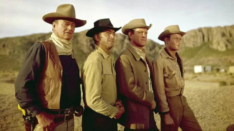 The Sons of Katie Elder Poster