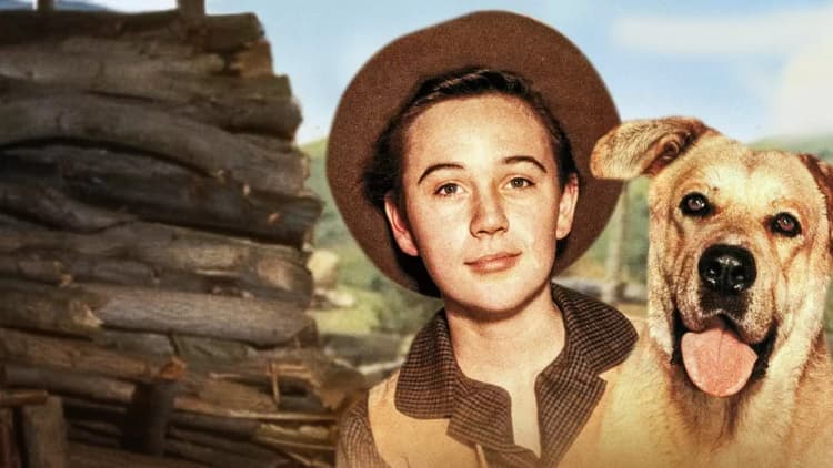 Old Yeller Poster