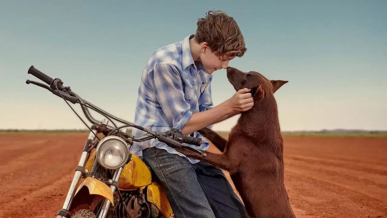 Red Dog: True Blue Backdrop