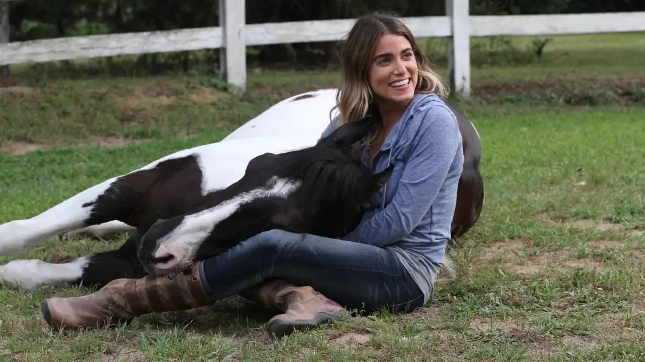 A Sunday Horse Backdrop