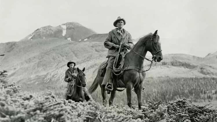 The Far Country Poster