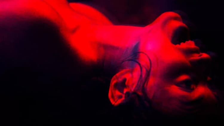 We Are the Flesh Poster