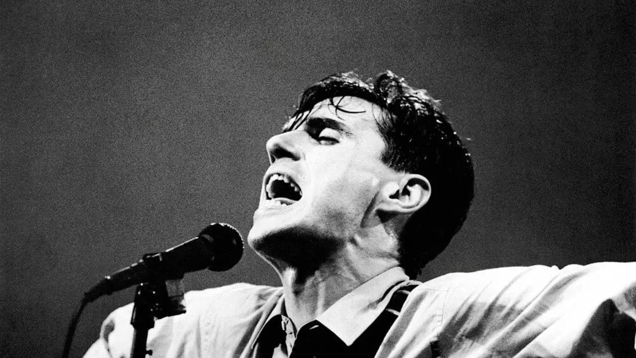 Stop Making Sense Backdrop