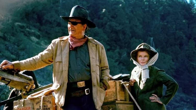 Rooster Cogburn Poster