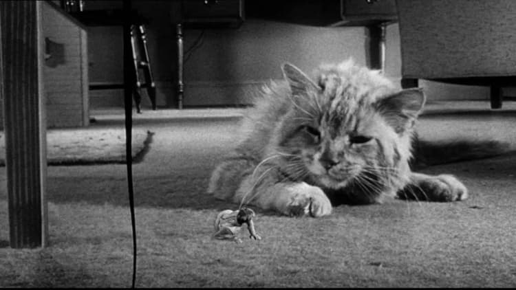 The Incredible Shrinking Man Poster
