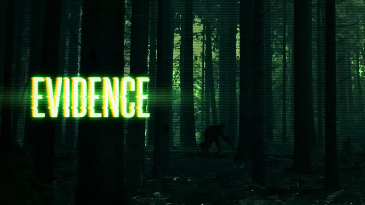 Evidence Backdrop