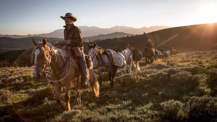 Unbranded Poster