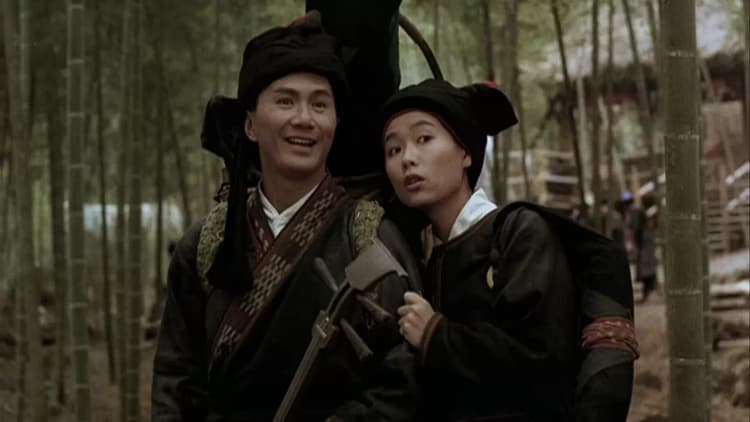 The Swordsman Poster