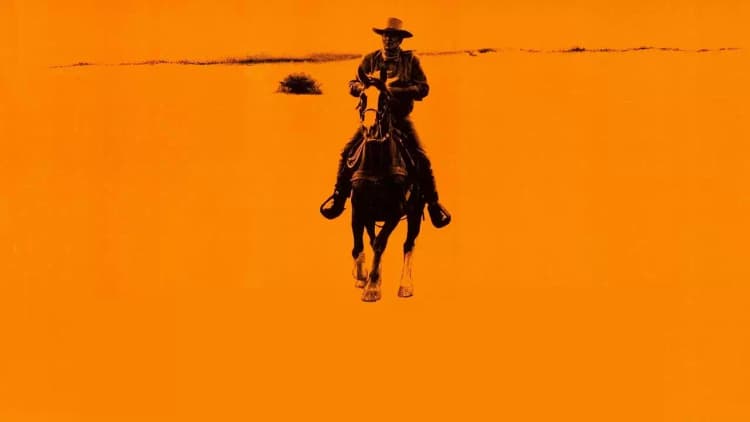 Chisum Poster