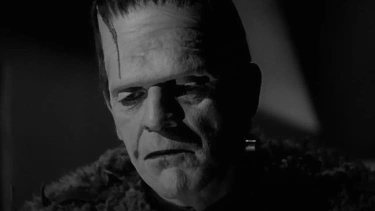 Son of Frankenstein Poster