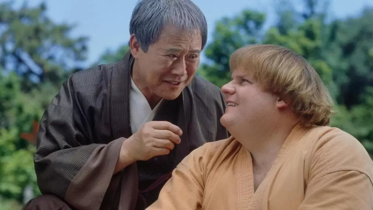 Beverly Hills Ninja Backdrop