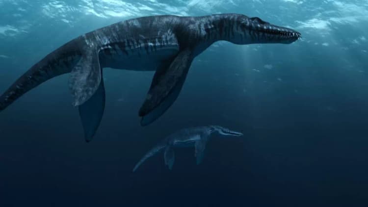 Sea Rex 3D: Journey to a Prehistoric World Poster