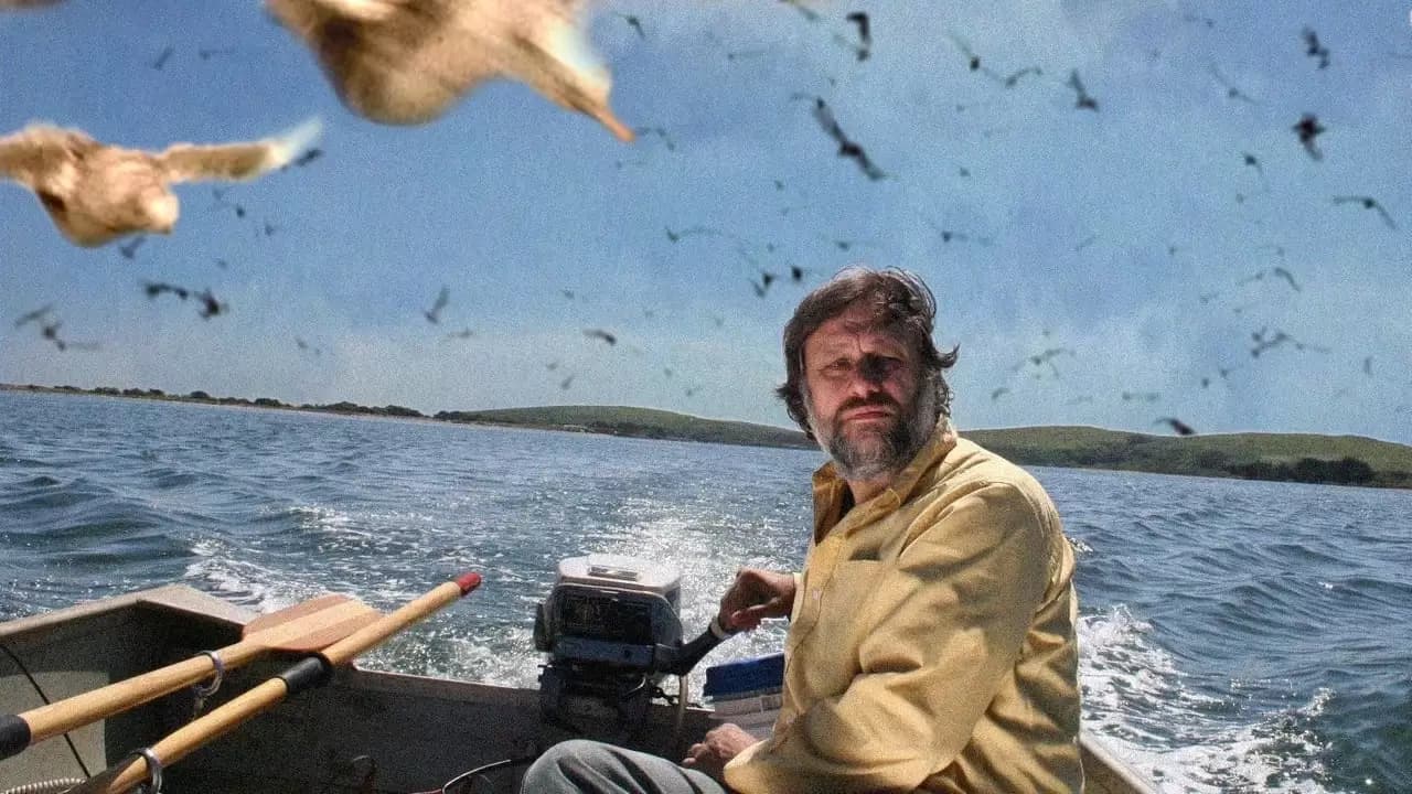 The Pervert's Guide to Cinema Backdrop