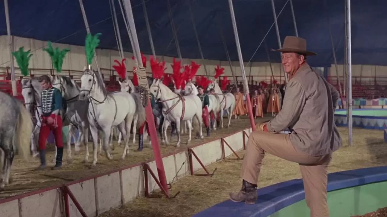 Circus World Backdrop