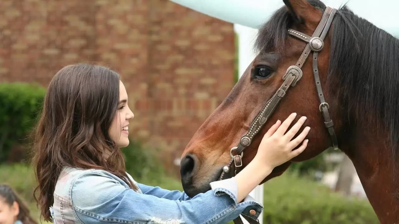 A Cowgirl's Story Backdrop