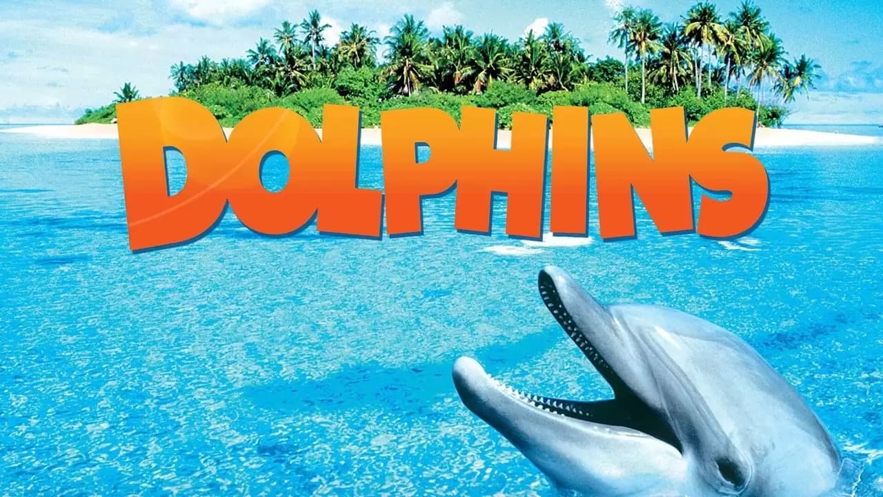 Dolphins Backdrop