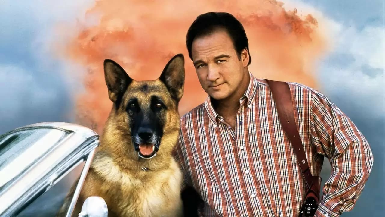 K-911 Backdrop