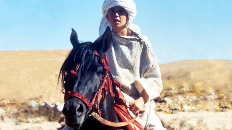 The Black Stallion Returns Poster