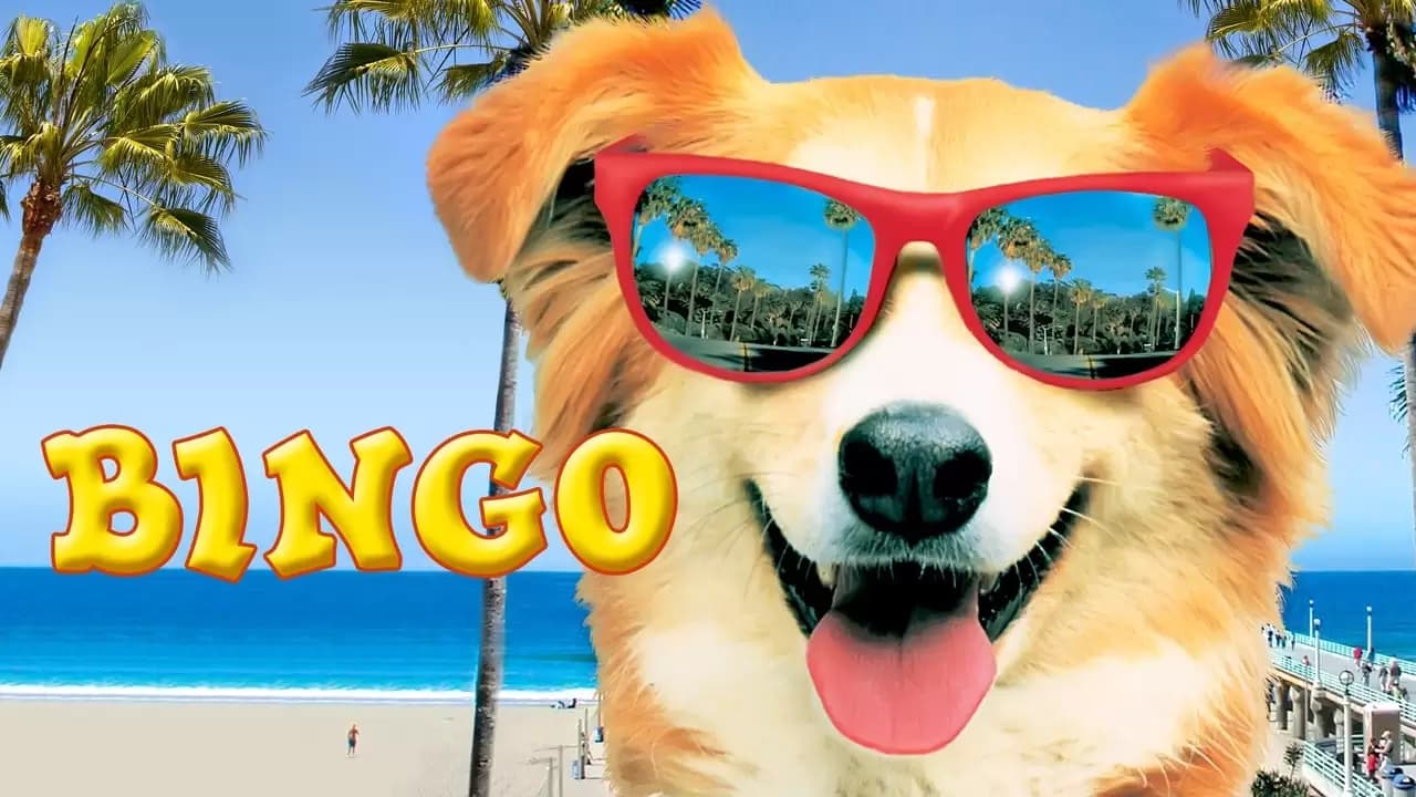 Bingo Backdrop