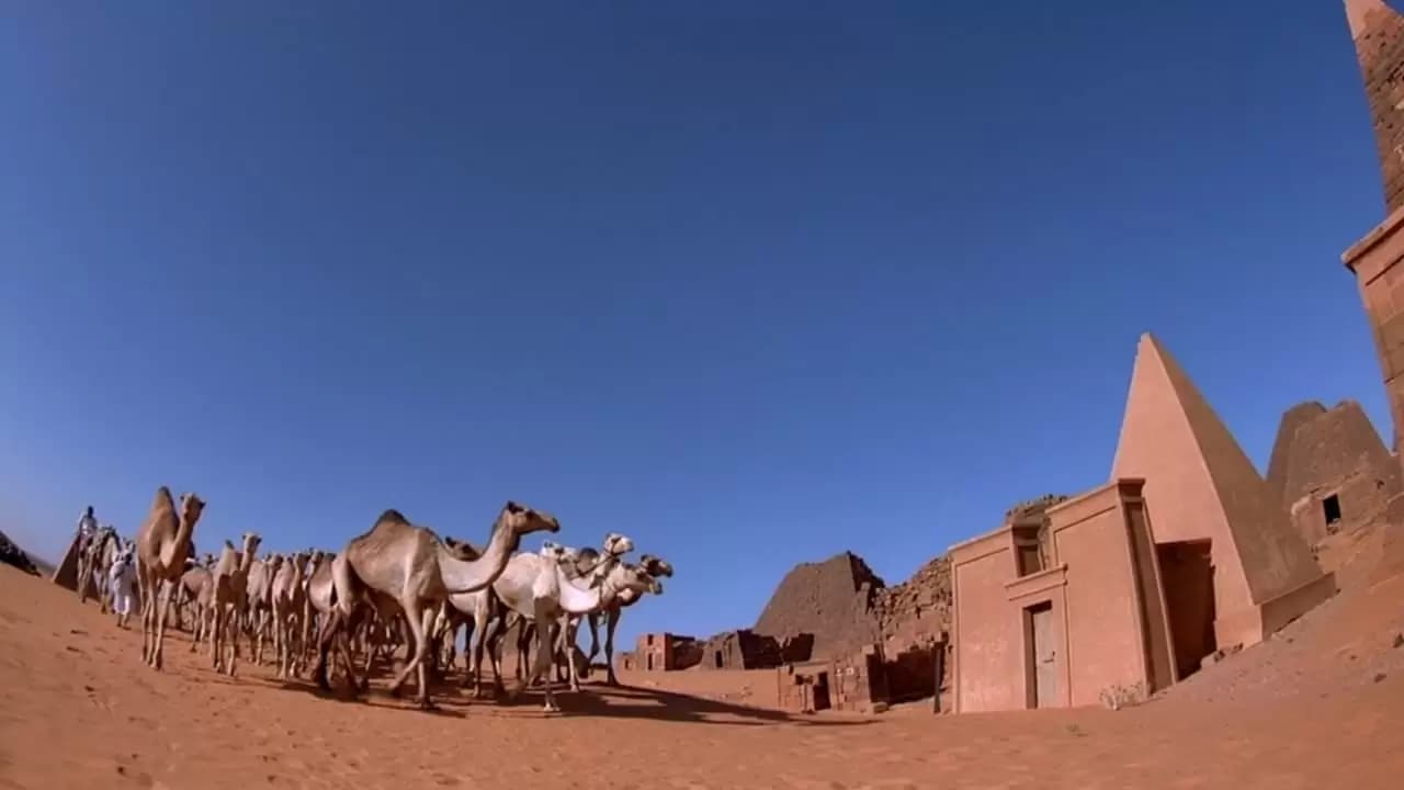 Mystery of the Nile Backdrop