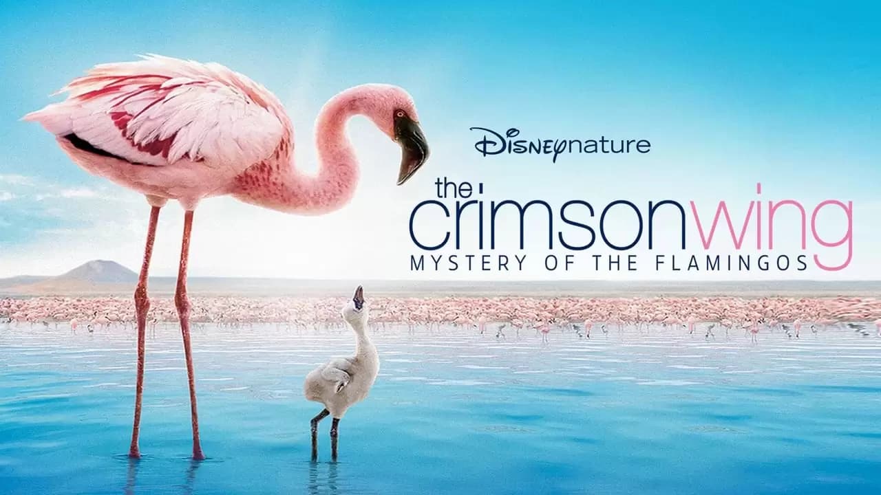The Crimson Wing: Mystery of the Flamingos Backdrop