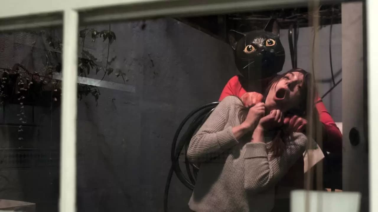 Cat Sick Blues Backdrop