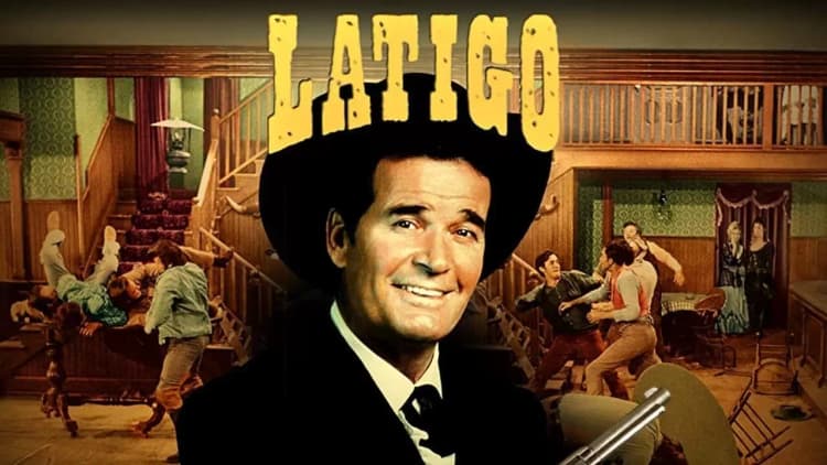 Support Your Local Gunfighter Poster