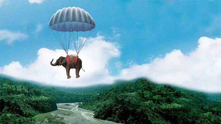 Operation Dumbo Drop Poster