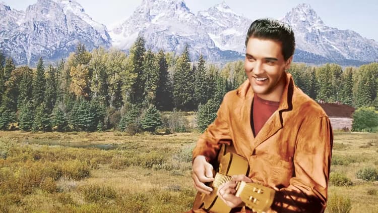 Wild in the Country Poster