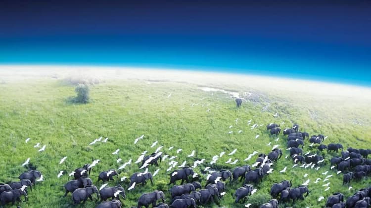 Planet Earth Poster
