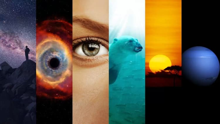 Cosmos: A Spacetime Odyssey Poster
