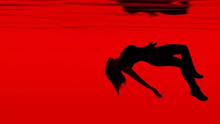 Falling Water Poster