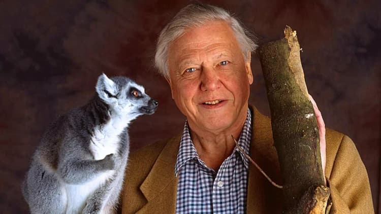 The Life of Mammals Poster