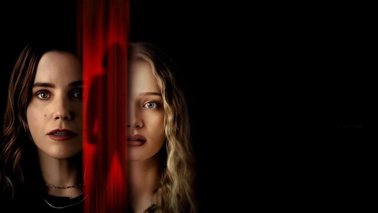 The Stranger in My Home Poster