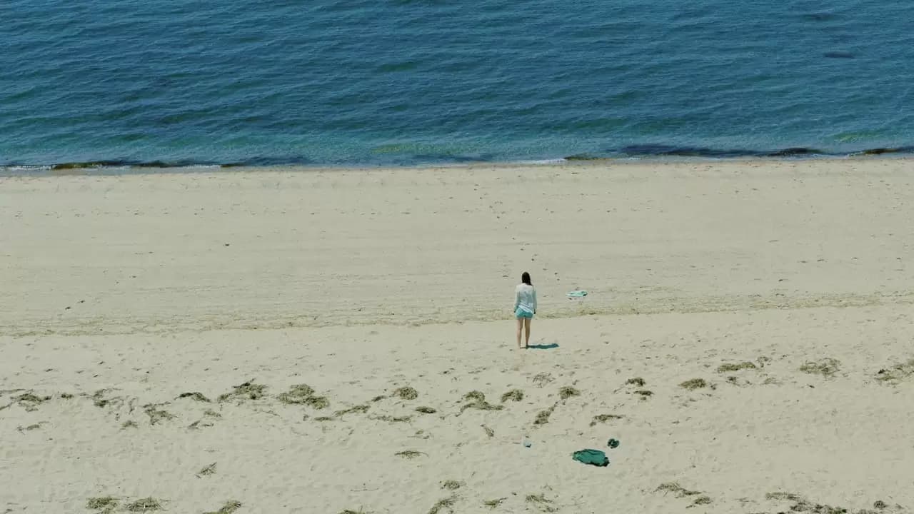 The Beach House Backdrop
