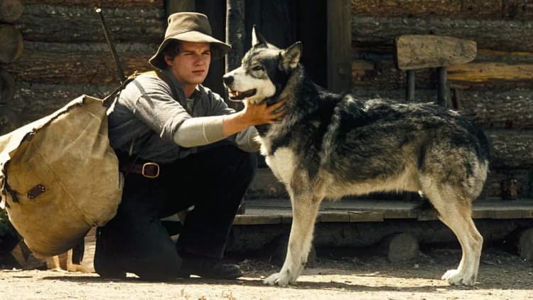 White Fang Poster