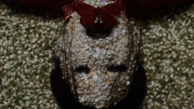 The Butterfly House Poster