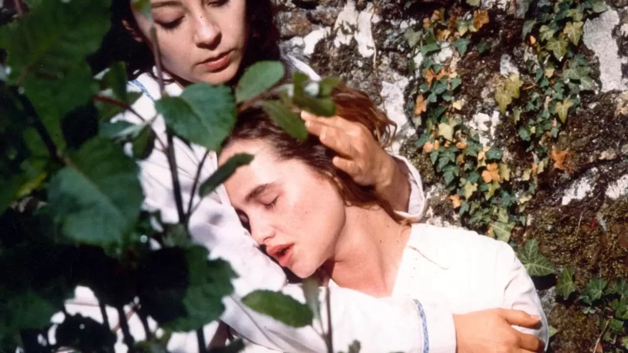 Céline Backdrop