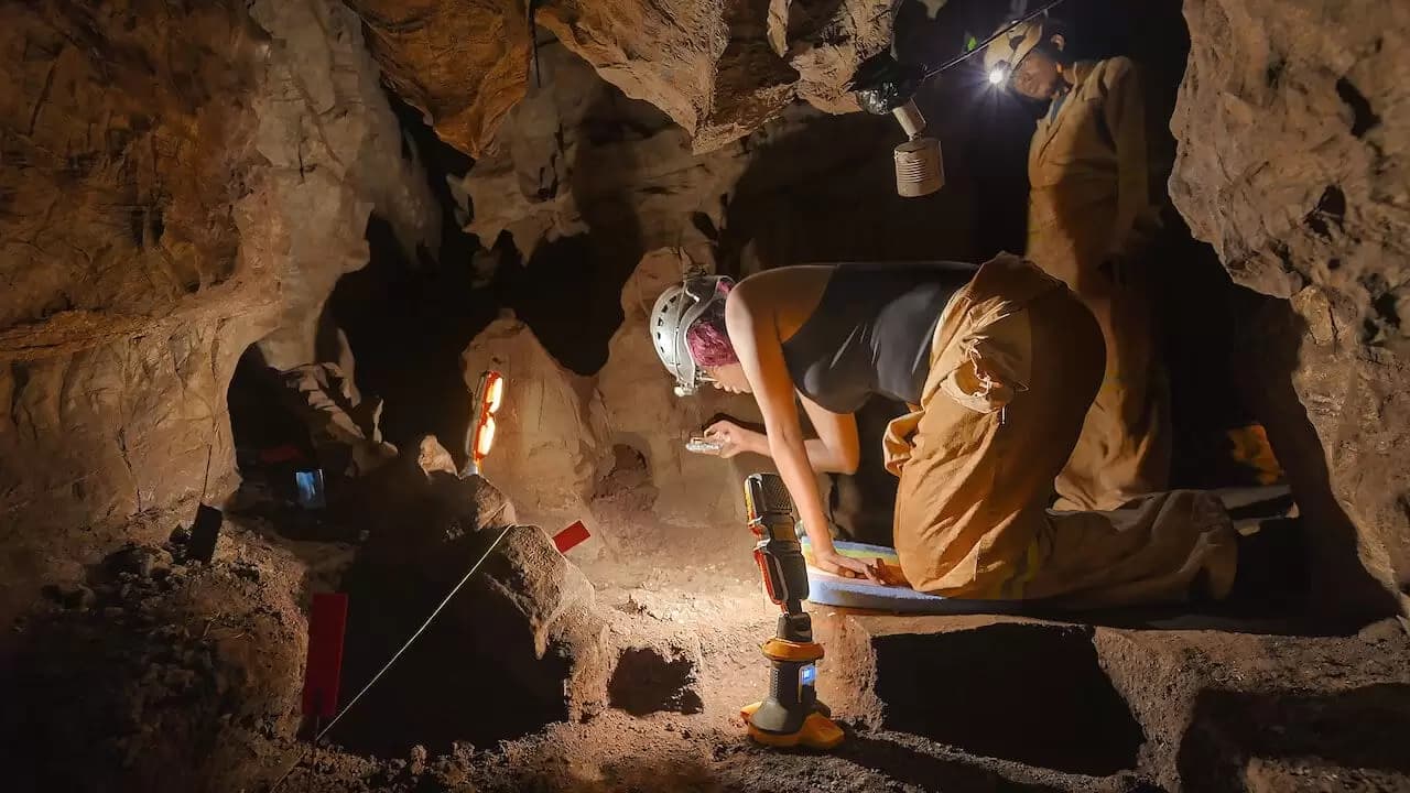 Unknown: Cave of Bones Backdrop
