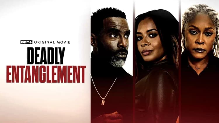 Deadly Entanglement Poster