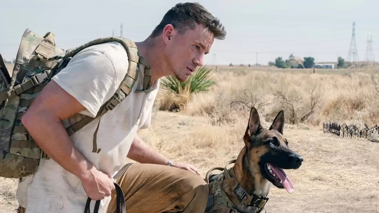 Dog Backdrop