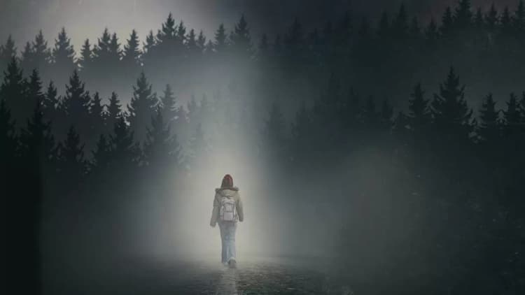 The Girl in the Fog Poster