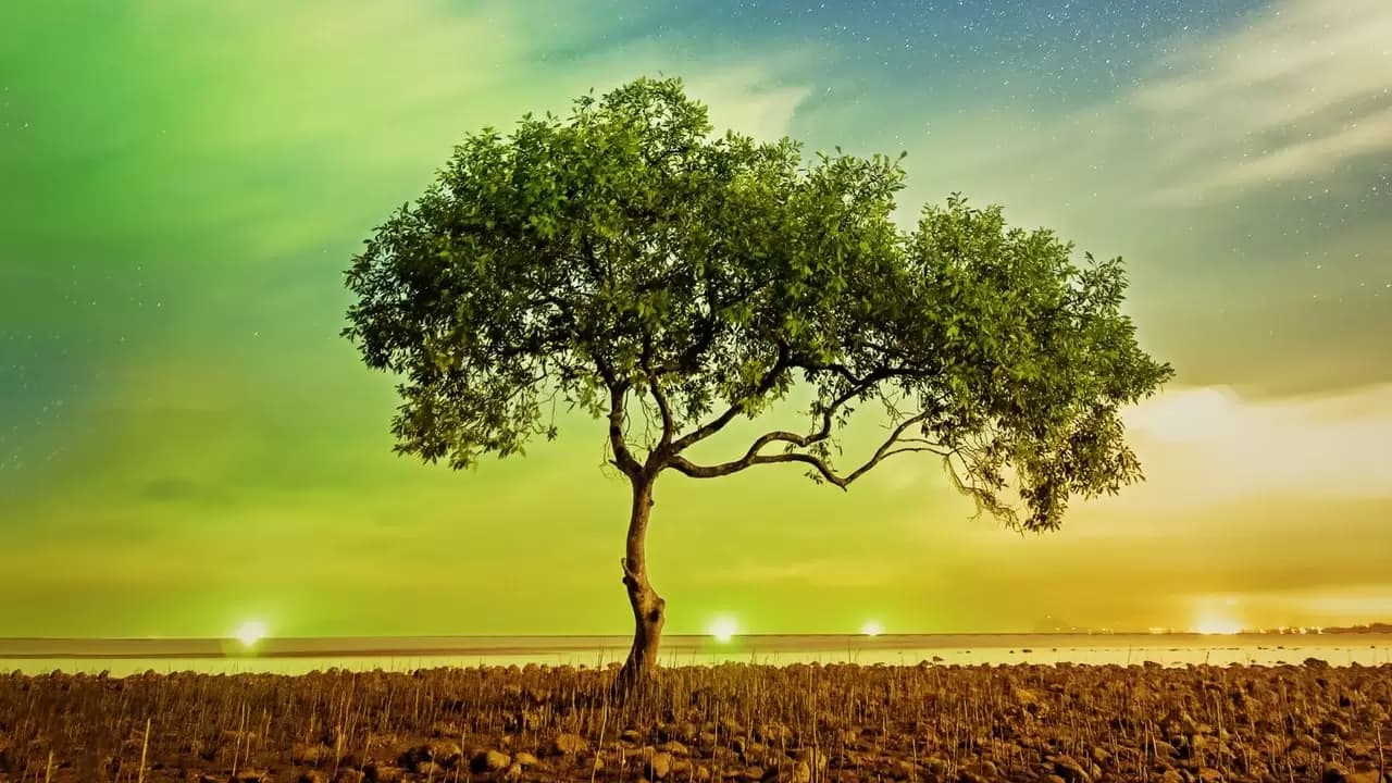 A Perfect Planet Backdrop