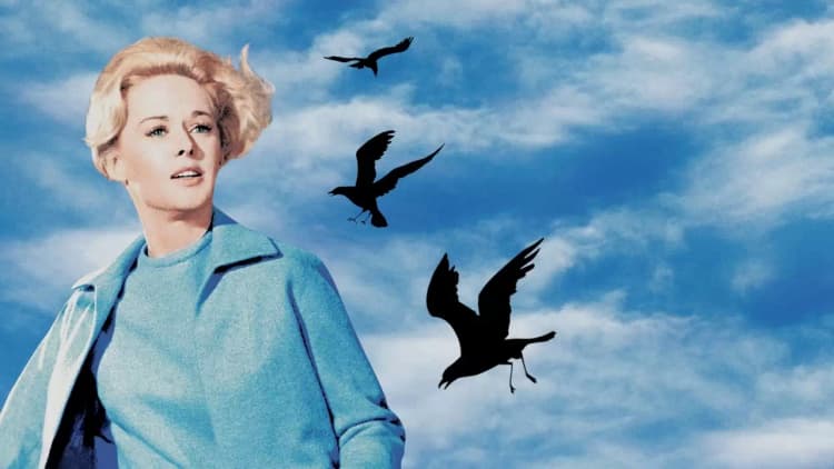 The Birds Poster
