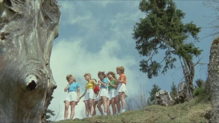 Six Swedish Girls in the Alps Poster