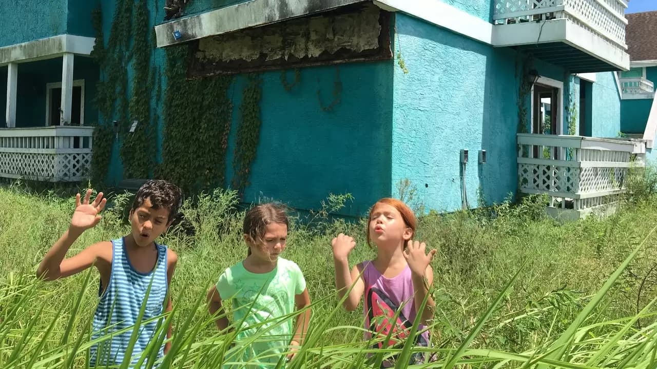 The Florida Project Backdrop